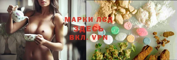 хмурый Осинники