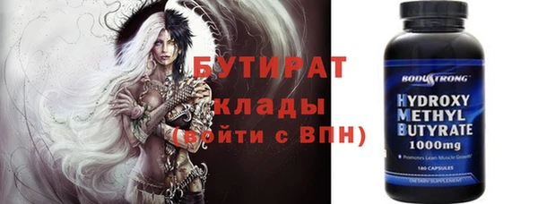 гашик Дмитров