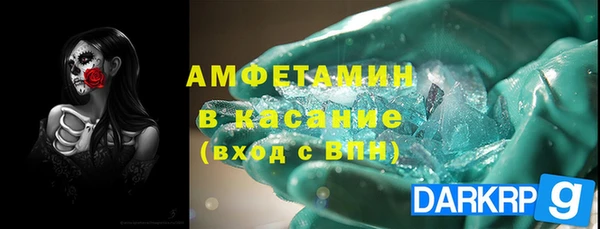 гашик Дмитров