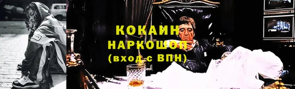 гашик Дмитров