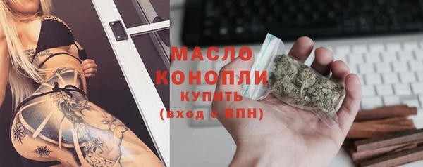 гашик Дмитров