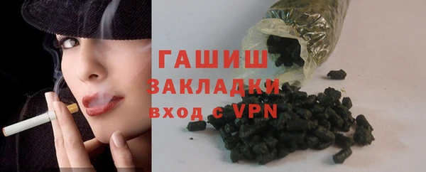 гашик Дмитров