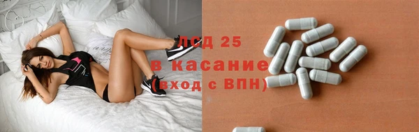 хмурый Осинники