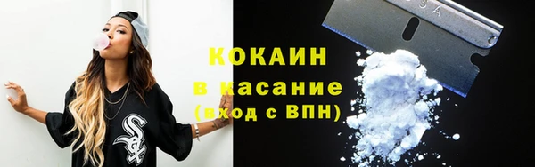 хмурый Осинники