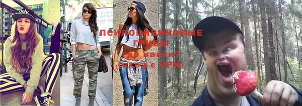 хмурый Осинники