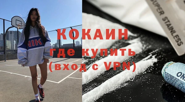 гашик Дмитров