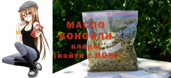 гашик Дмитров