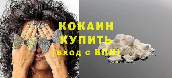 хмурый Осинники