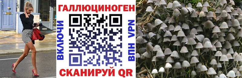 мега зеркало Пикалёво Псилоцибиновые грибы прущие грибы